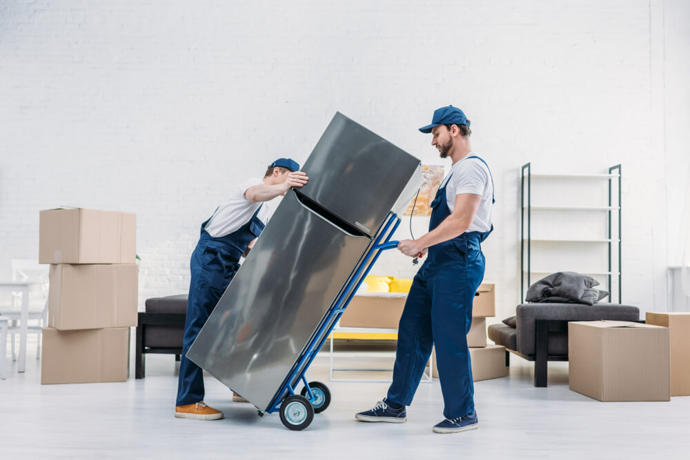 Best Moving Company Near Me