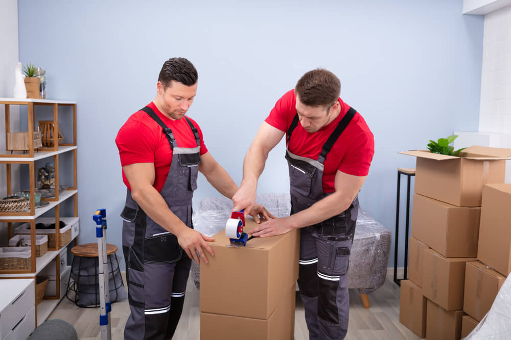 Reliable Storage Services Jersey City